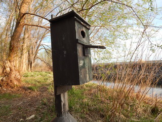 Old birdhouse.