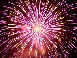Bright firework.