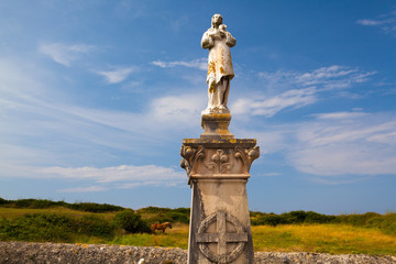 Lonely horse and cemetery Municipal de Ballena in Castro Urdiales, Spain