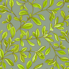 marjoram vector pattern