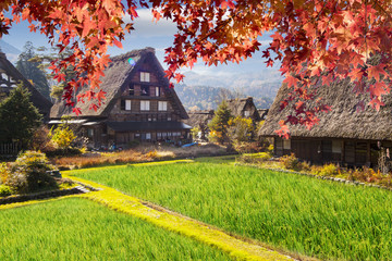 fall season of Historic Villages of Shirakawa-go and Gokayama, Japan