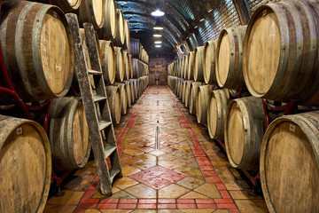Wine cellar with of oak barrels