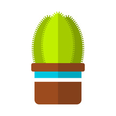 Cactus, succulent. Flat color icon, illustration of potted plant isolated on white background. Object