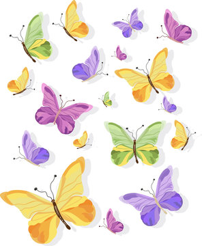 Colorful butterflies Vector pattern background illustration