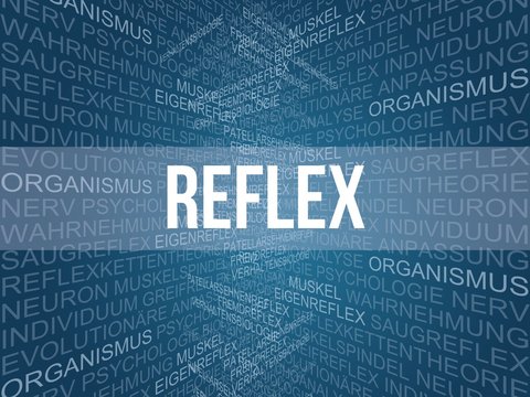 Reflex