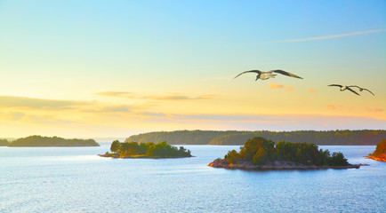 Scandinavian landscape with sea gulls