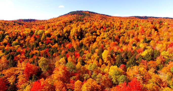 Autumn Foliage in Maine Forest with Brilliant Red and Orange Leaves - Aerial Shot From Newry, Maine, USA