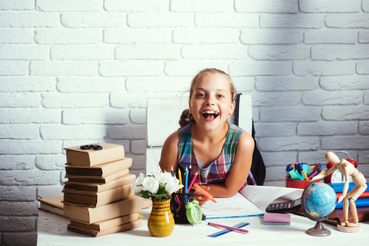 Back to school concept. Schoolgirl with smiling face