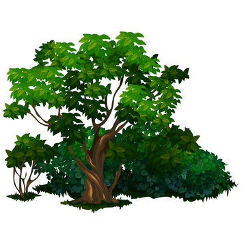Large detailed tree in cartoon style. Nature, forest, ecology concept. Vector illustration isolated on a white background