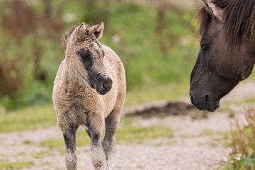 Fototapeta premium Young and Old
