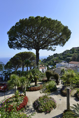 Fototapeta na wymiar Amalfitan coast, Ravello; Villa Rufolo,
