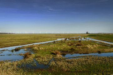Dutch Landscape, Eempolder