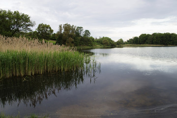Lake on a warm summer day
