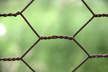 Wire netting fence