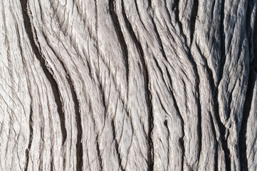 Wood texture / Rustic gray wood background with structural effect.