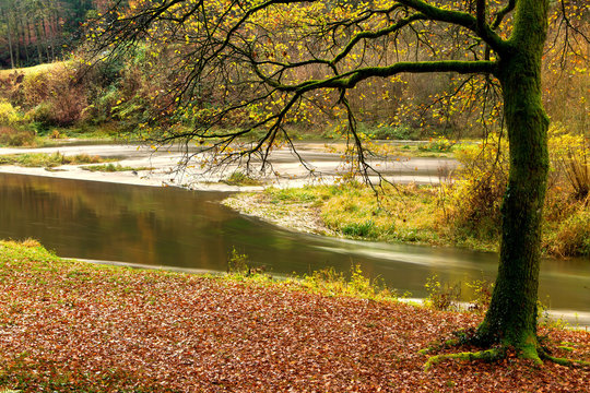 Semois River In Autumn