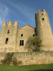 Fototapeta na wymiar Château d'Essalois, gorges de la Loire, Forez