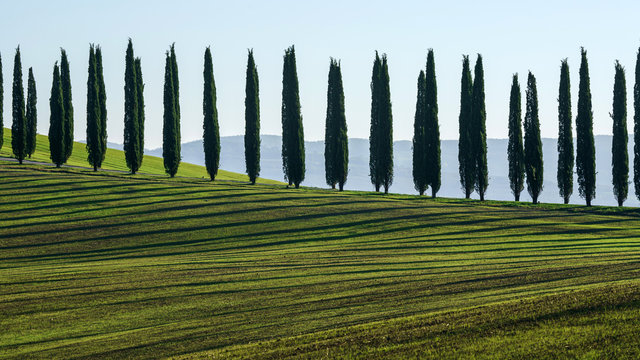 รูปภาพOrcia เลือกดูภาพถ่ายสต็อก เวกเตอร์ และวิดีโอ17,267 Adobe Stock
