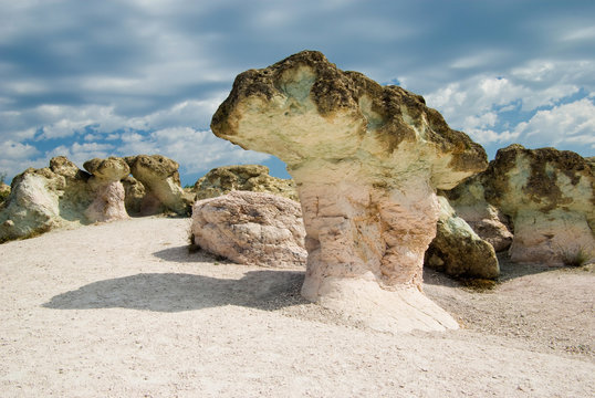 The Stone Mushrooms is a rock phenomenon near Beli Plast village in Bulgaria, on the road between Haskovo and Kardzhali. They are about 2.5 metres tall. 