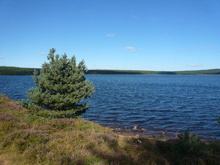 Lac de Villefort (Lozère, France)