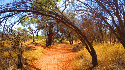 Walk around Ayers Rock