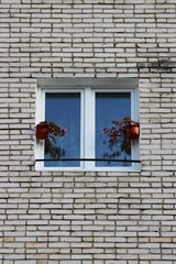 Two pots with flowering begonias on a window in a brick house.