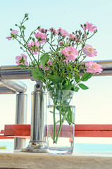 Pink wild rose flowers in a transparent glass, outside balcony, green branch bush, close up