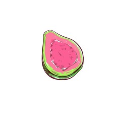 Guava. Vector hand drawn illustration. Cartoon style
