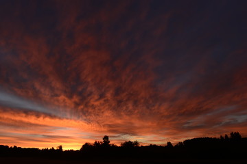 Summer time before sunrise morning dawn sky over the forest