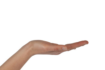 Elegant female hand in showcasing or giving gesture isolated on white with copy space