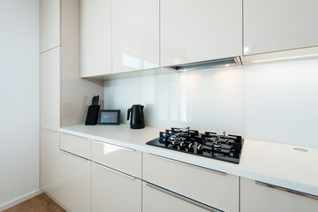 Contemporary kitchen interior
