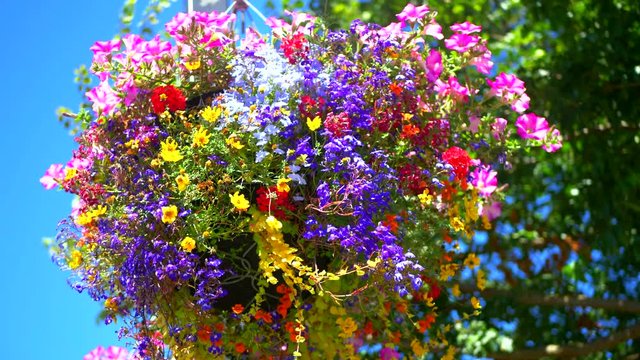 4K Hanging Flower Basket, Beautiful Floral Garden Arrangement Decoration