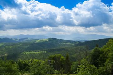 Fototapeta na wymiar Carpathian mountains in summer