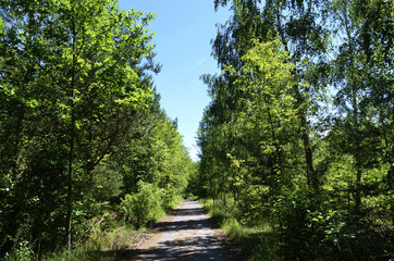 Berlin Wall Trail (Berliner Mauerweg)