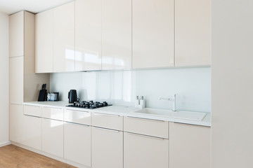 Contemporary kitchen interior