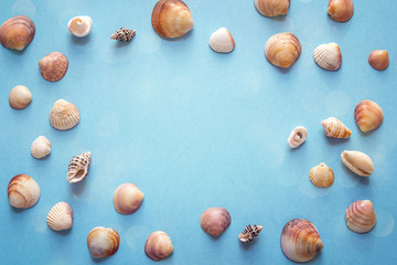 Background with frame of seashells on blue. Top view with copy space.