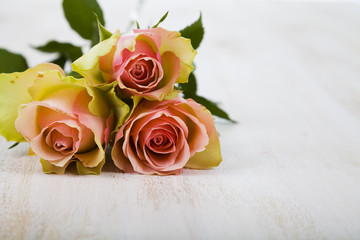 Pink roses