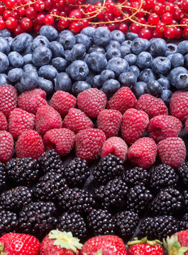 Photo of Berries background
