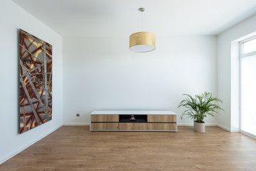 Contemporary house interior - white room with plant and cabinet