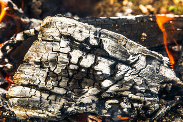 Burning log with smoke