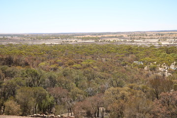 Fototapeta premium Area around Hyden Rock and Wave Rock in Western Australia