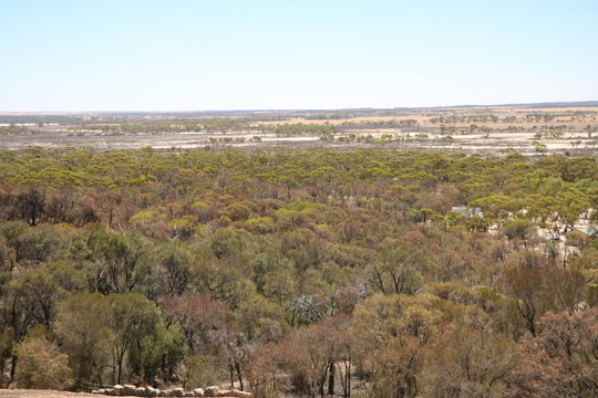Area around Hyden Rock and Wave Rock in Western Australia