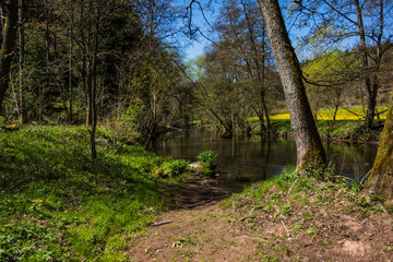 Wanderung in Altensteig im Nordschwarzwald im Frühling an einem Frühsommertag mit blauem Himmel entlang der Nagold
