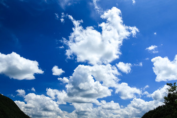 夏の空