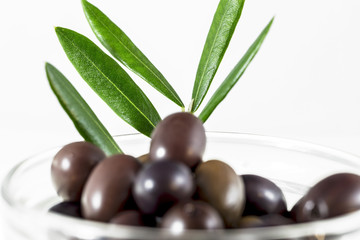 Cup with olives, twig, olive branch