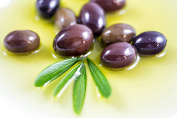 Plate with olives, olive oil, twig, olive branch