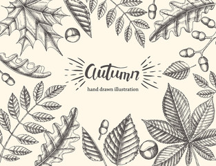 Vintage Autumn background with hand drawn leaves. Sketch. Hand made lettering. Banner, flyer, brochure. Advertising