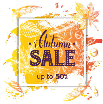 Vector Autumn sale banner with doodle leaves and brush stroke. Lettering. Sketch. Poster, flyer, brochure, web, advertising