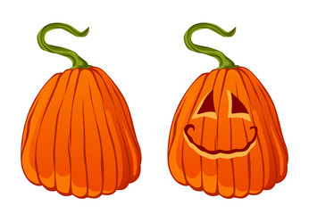 Pumpkin on a white background
