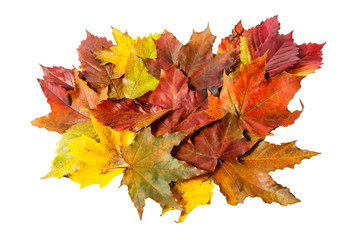 Autumn leaves isolated on white background